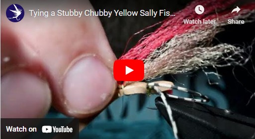 Tying a Stubby Chubby Yellow Sally Fishing Fly 